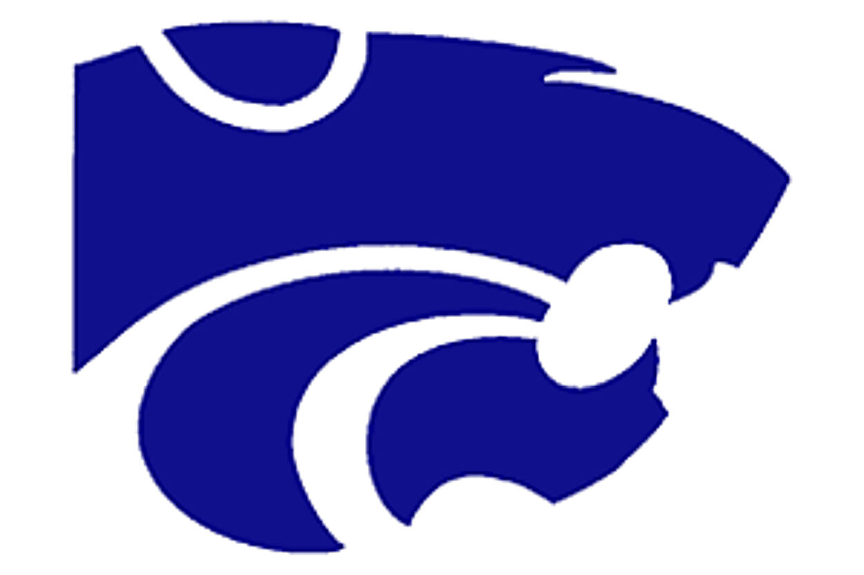 Quinlan Ford Panthers